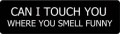 Can I Touch You Where You Smell Funny Motorcycle Helmet Sticker