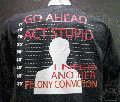 go-ahead-act-stupid-i-need-another-felony-conviction-shirt.gif